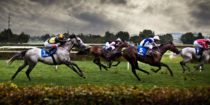 Massachusetts Extends Racing and Simulcasting Law