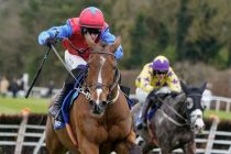 Cheltenham Festival winner Facile Vega dies aged seven as Willie Mullins in mourning